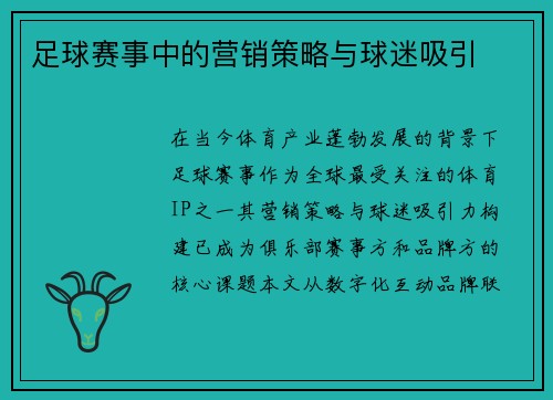 足球赛事中的营销策略与球迷吸引